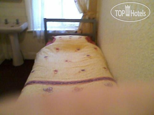 New photos from tourists The Del Roseia 3*