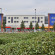 Best Western Birmingham Metro Maypole Hotel 