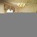 Castle Bromwich Hall Hotel 
