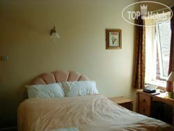 New photos from tourists Copperheads 3*