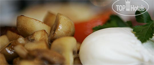 New photos from tourists Didsbury House 4*