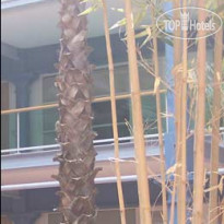 The Place Apartment Hotel 