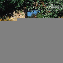 Le Manoir aux Quat Saisons 