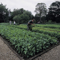 Le Manoir aux Quat Saisons 