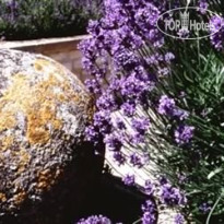 Le Manoir aux Quat Saisons 