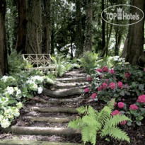 Summer Lodge Country House & Spa