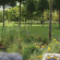 Lucknam Park Hotel & Spa 