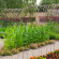 Whatley Manor 
