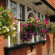 Best Western Crown Hotel 