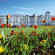 Best Western Royal Clifton Hotel 