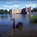 Holiday Inn Rochester - Chatham 