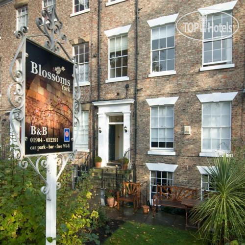Hotel photo Blossoms York 2*