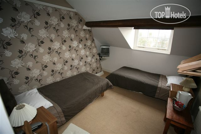 New photos from tourists Blossoms York 2*