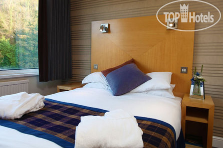 New photos from tourists Best Western Palace Hotel & Casino 4*