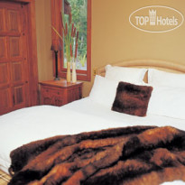 Treetops Lodge 