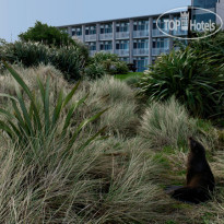 Beachfront Hotel Hokitika Экстерьер отеля