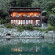 Bay of Many Coves Resort 