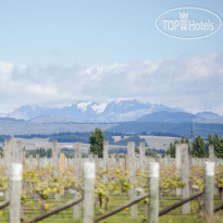 Marlborough Vintners