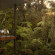 Te Waonui Forest Retreat 
