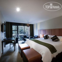 Te Waonui Forest Retreat 