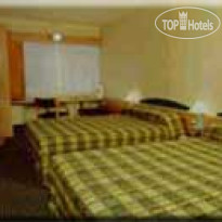 Ibis Wellington 