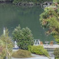 Riverside Matakana