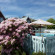 Arrowtown Viking Lodge 