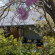 Arrowtown House 