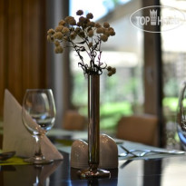 Bonvino Wine & Spa