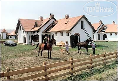 New photos from tourists Hortobagy 3*