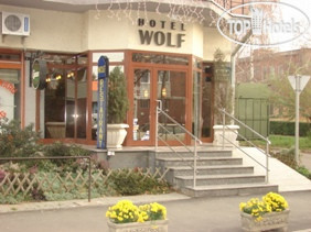 New photos from tourists Wolf 3*