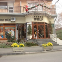 Wolf