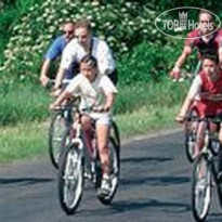 Hotel - Restaurant Vadvirag 