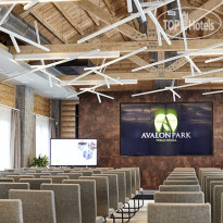 Avalon Resort & Spa 