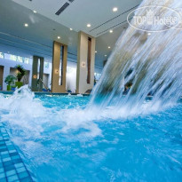 Abacus Business & Wellness
