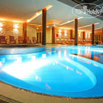 Abacus Business & Wellness
