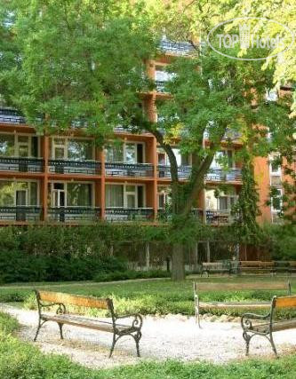 Hotel photo IBS Garden Hotel 