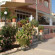 Adonis Apartments 