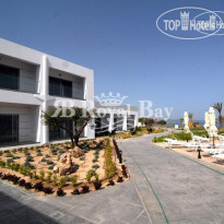 Royal Bay