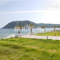 Royal Bay