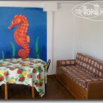 Hippocampus Studio Apartments