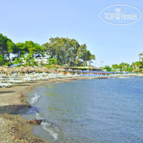 Palm Beach 