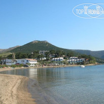 Venus Beach