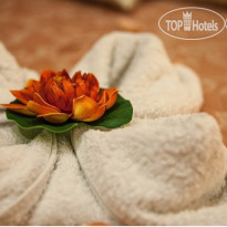 Acqua Marina Nautilus 