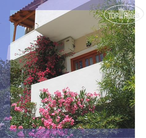 Hotel photo Costantonia Apartments 4*