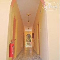 The Delfini Hotel