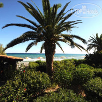Argassi Beach Hotel