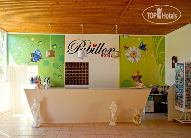 New photos from tourists Papillon Hotel 2*