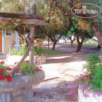 Kavos Psarou Studios Apartments 