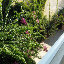 Chrysafi Rooms